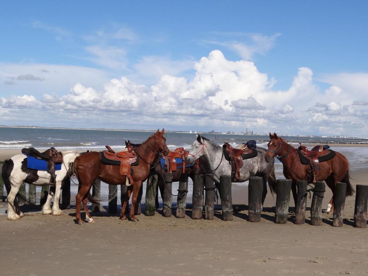 Comfortable In Schoondijke